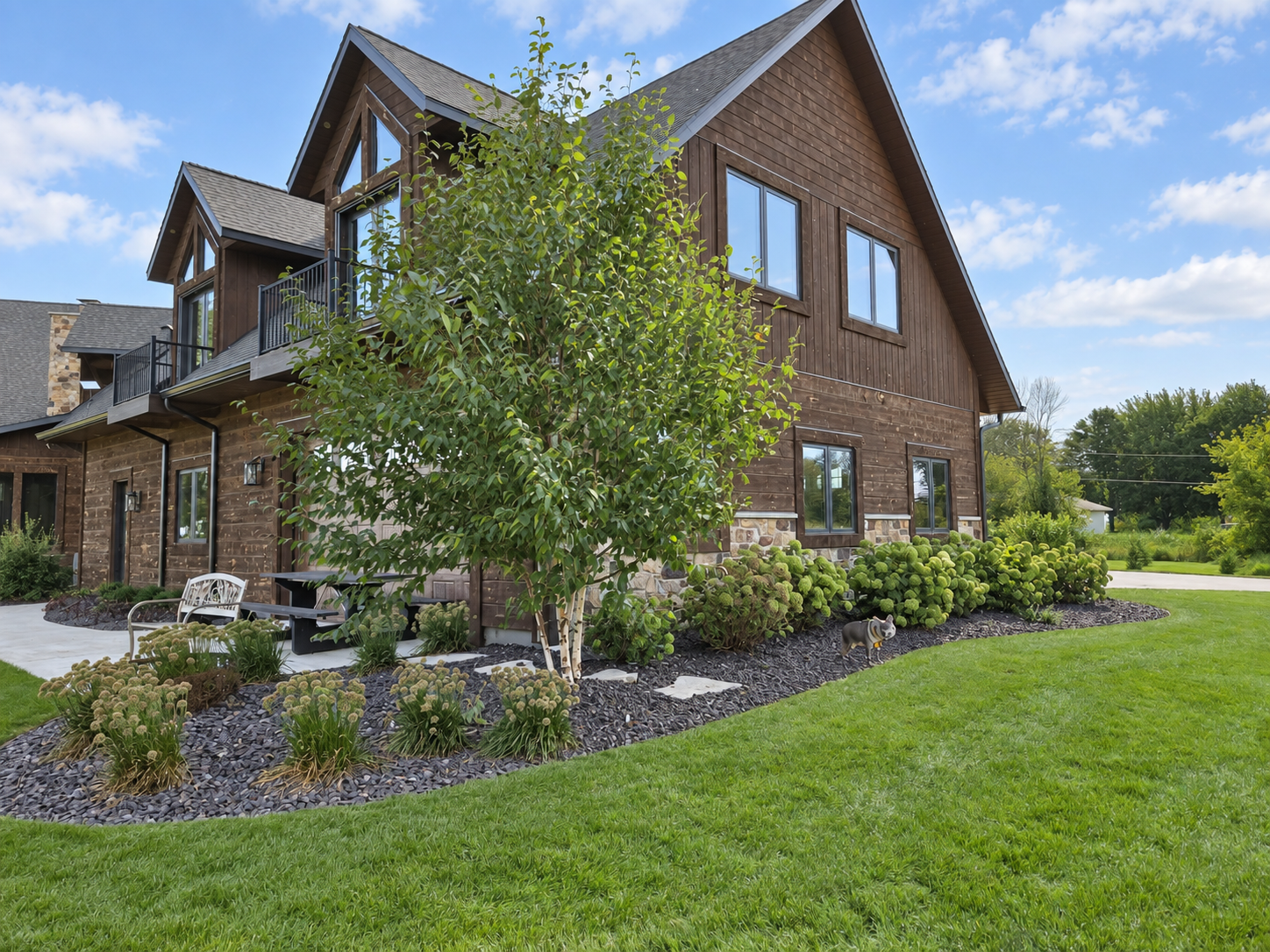Birch tree, hydrangeas, and perennial plantings in decorative-stone beds surrounding a patio beside a wood-sided home.
