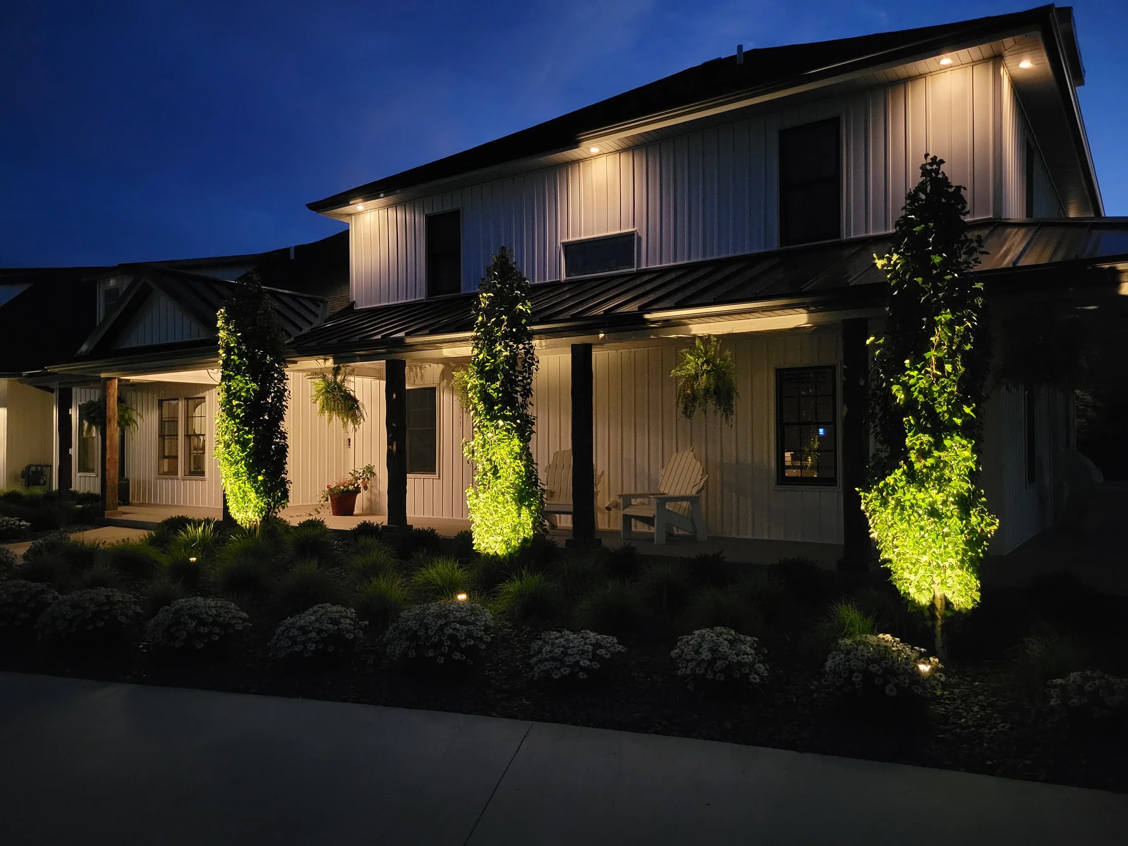 Warm uplights and path lights illuminate columnar trees and layered plantings along a home at blue hour