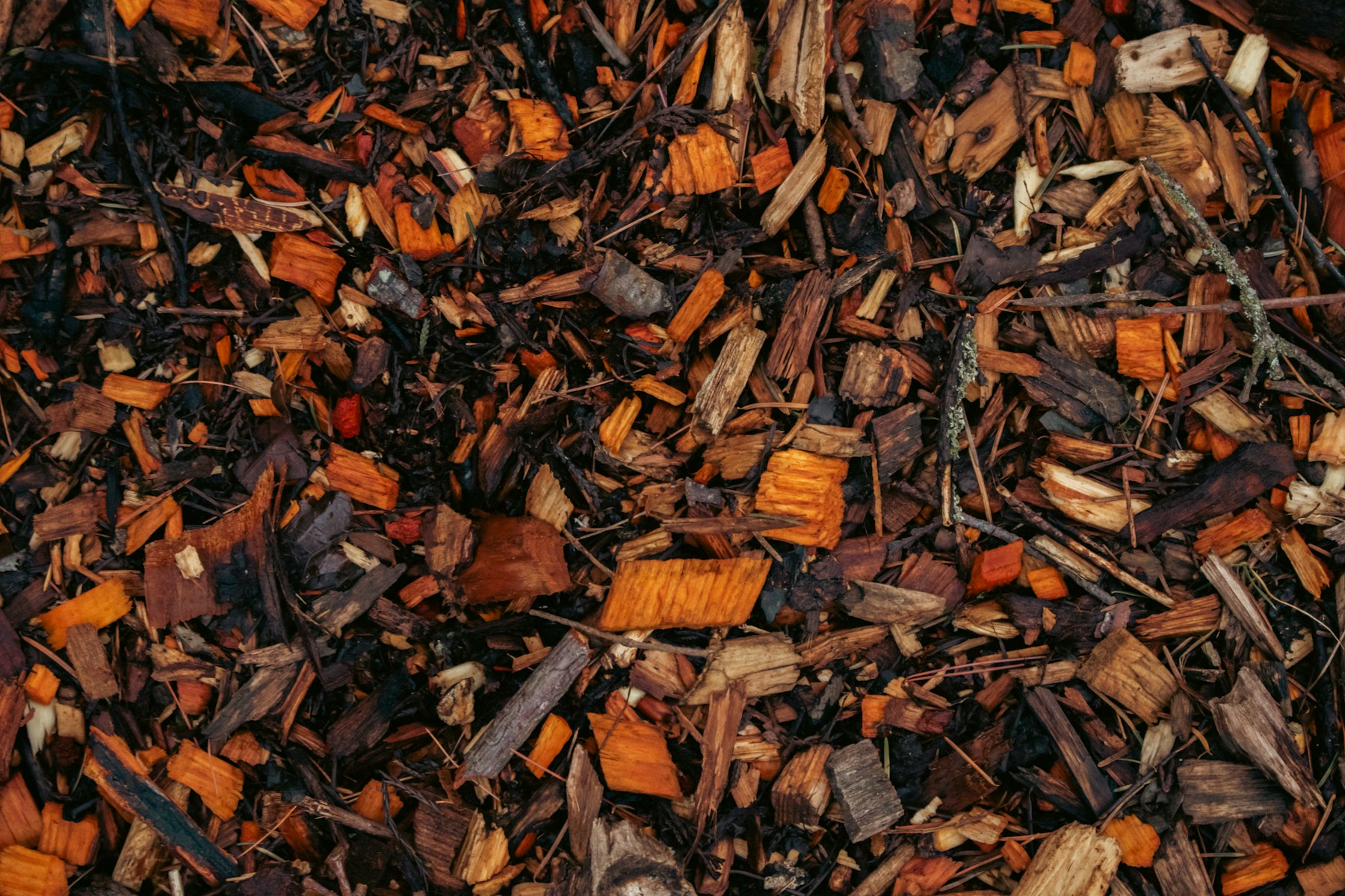Close-up of the natural textures and warm brown tones of bark mulch