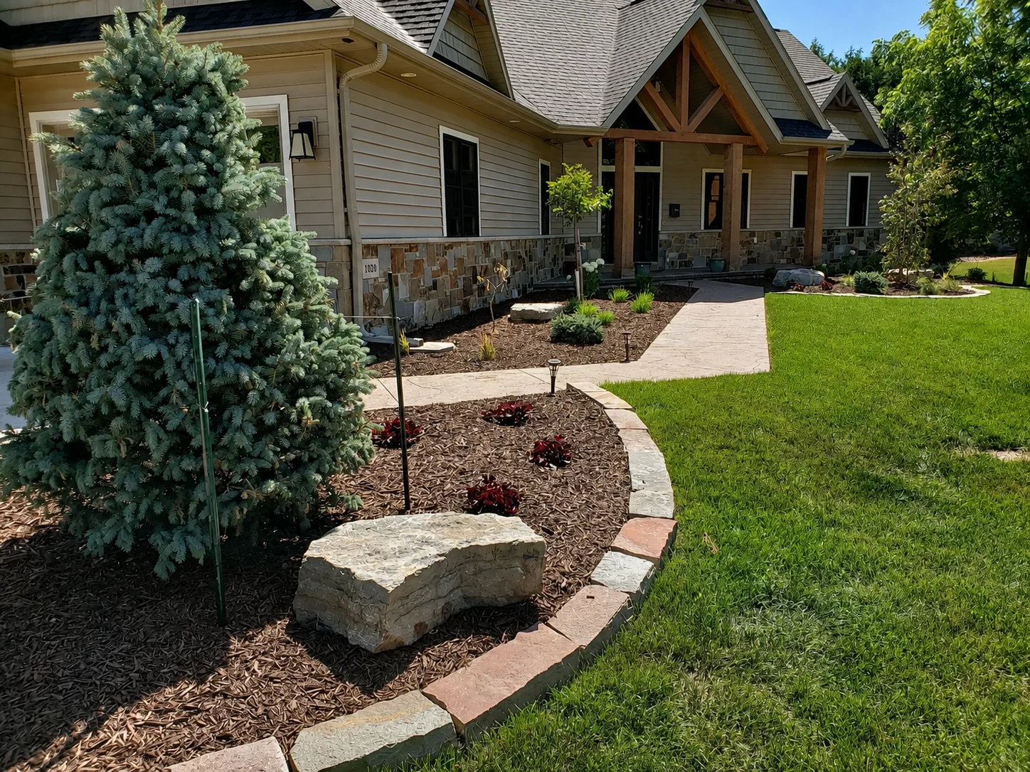 Front entry landscape with blue spruce, stone borders, and an accent boulder