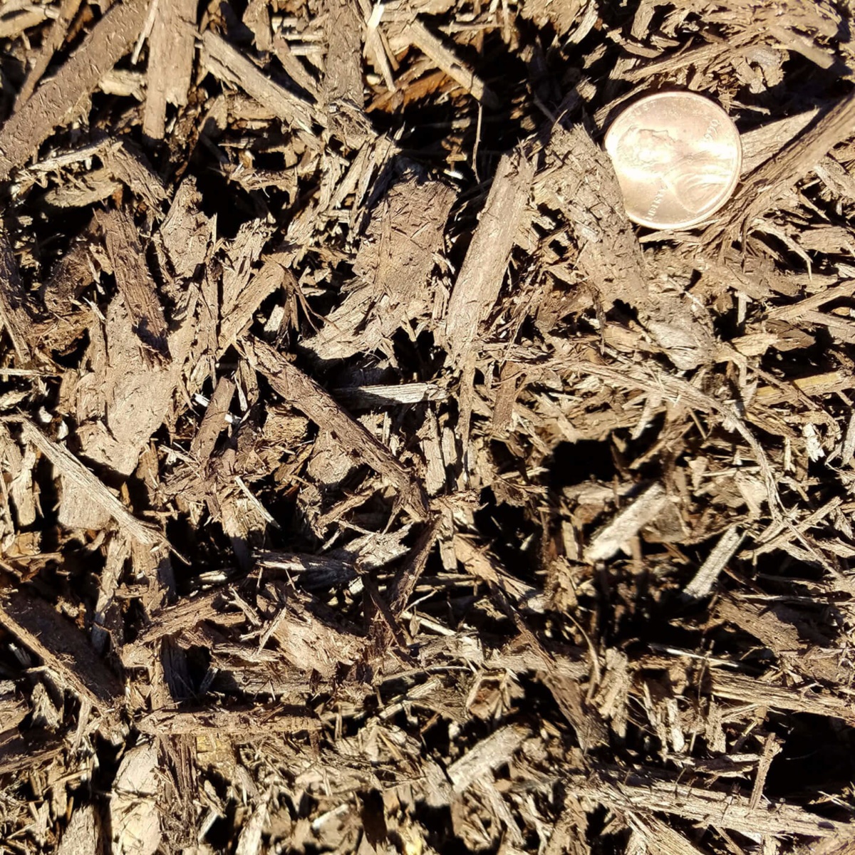 Brown Colored