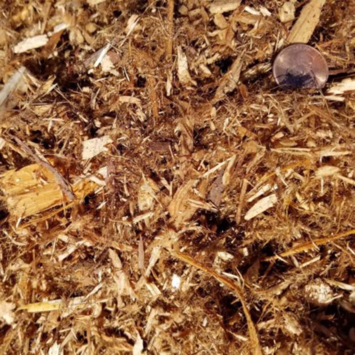 Cedar Mulch