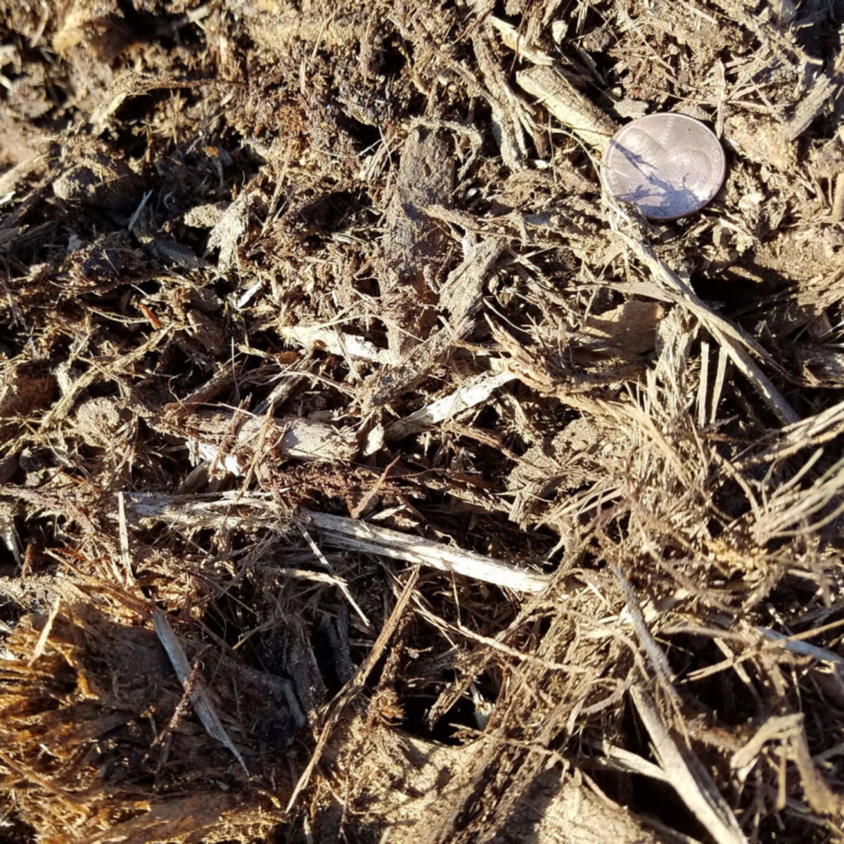 Natural Mulch