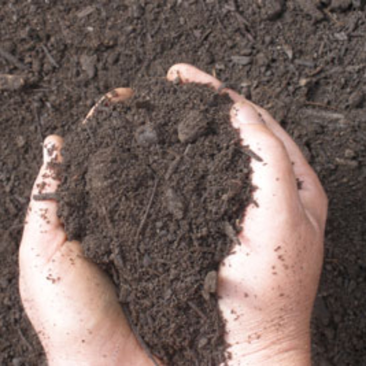 Potting/Garden Mix