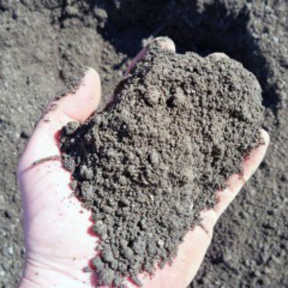 Top Soil