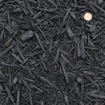 Sharp black colored mulch with penny for scale
